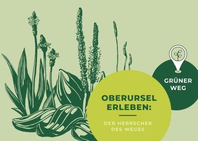 Werbepostkarte zum Grünen Weg mit Wegerichsymbol