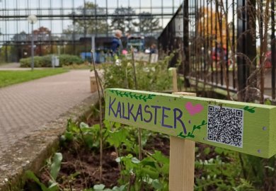 Ein Schild informiert, dass hier eine so genannte Kalkaster wächst.